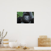 Zaire, Virungas Nationalpark. Portrait Poster (Küche)