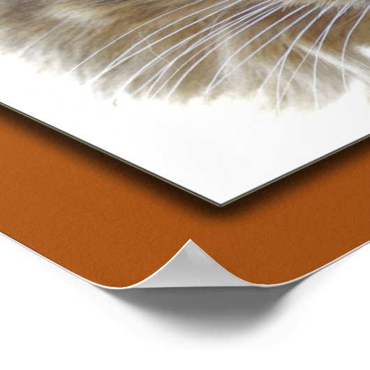 Zaks Bild Poster (Ecke)