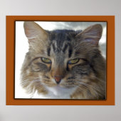 Zaks Bild Poster (Vorne)