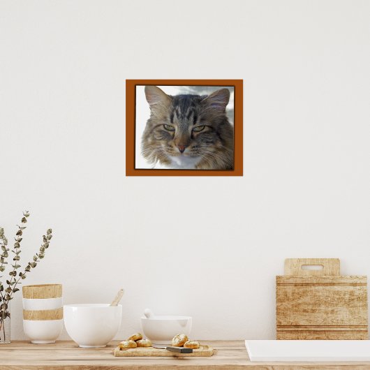 Zaks Bild Poster (Küche)