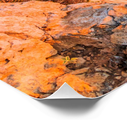 Zakynthos, Griechenland. Poster (Ecke)