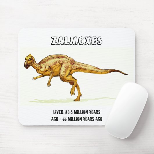 Zalmoxes Dinosaur Mousepad (Mit Mouse)