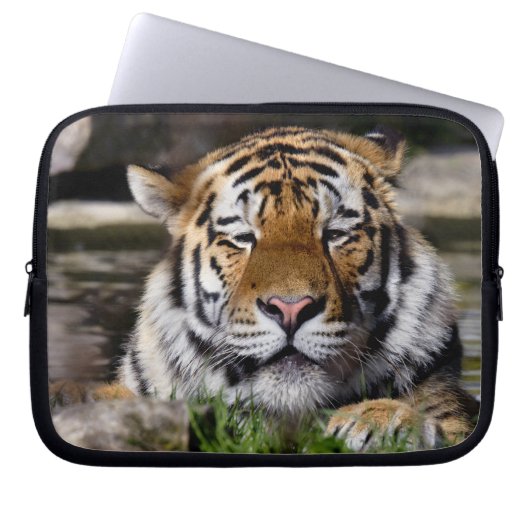 Zambar Tiger Laptop Sleeve (Vorderseite)