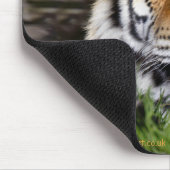 Zambar Tiger Mousemat Mousepad (Ecke)