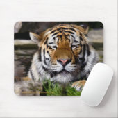 Zambar Tiger Mousemat Mousepad (Mit Mouse)