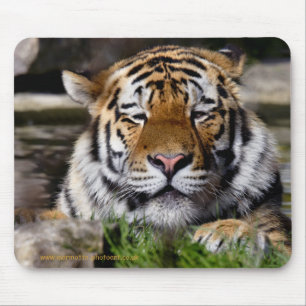 Zambar Tiger Mousemat Mousepad