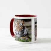 Zambar Tiger-Tasse Tasse (Vorderseite Links)