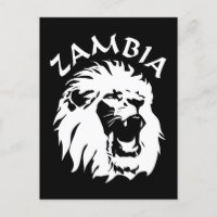 Zambia Lion