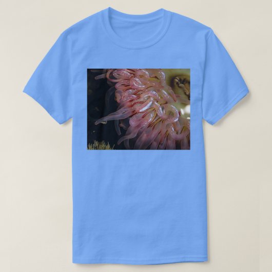 zankhaft T-Shirt (Design vorne)