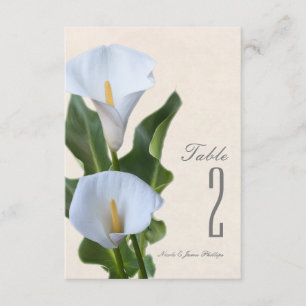 Zantedeschia Blumen Florale Elegante Tischnummer