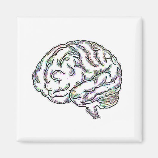 Zany Brainy Magnet (Vorne)