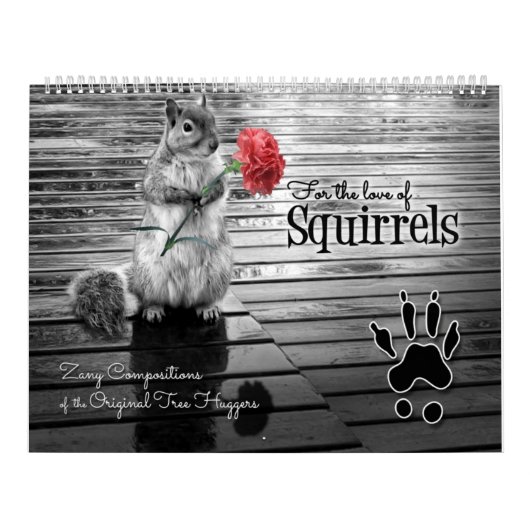 Zany Squirrel Lover Wildlife 12 Monate Kalender (Titelbild)