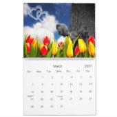 Zany Squirrel Lover Wildlife 12 Monate Kalender (Mär 2027)