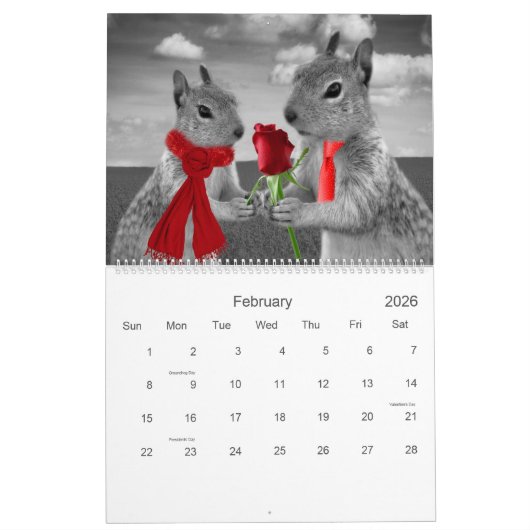 Zany Squirrel Lover Wildlife 12 Monate Kalender (Feb 2026)