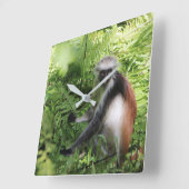 Zanzibar Monkey Clock Quadratische Wanduhr (Winkel)
