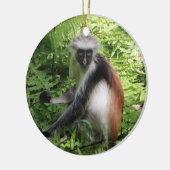 Zanzibar Roter Colobus Keramik Ornament (Links)