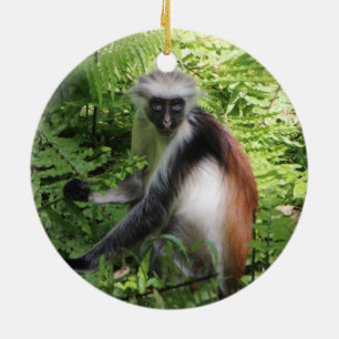 Zanzibar Roter Colobus Keramik Ornament
