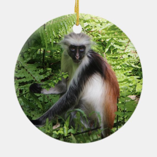 Zanzibar Roter Colobus Keramik Ornament (Hinten)