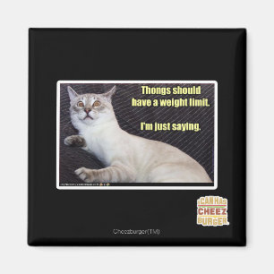 Zapfen sollten eine Gewichtsgrenze haben Magnet