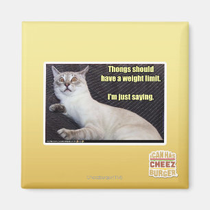 Zapfen sollten eine Gewichtsgrenze haben Magnet