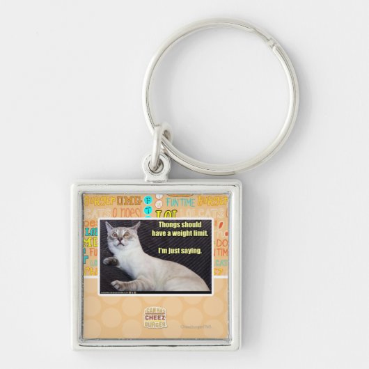 Zapfen sollten eine Gewichtsgrenze haben Schlüsselanhänger (Vorne)