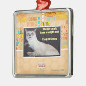 Zapfen sollten eine Gewichtsgrenze haben Silbernes Ornament (Links)