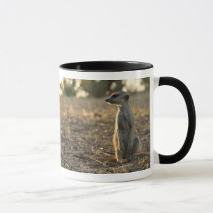 Zaphod 12. Geburtstags-Tasse Tasse