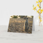 Zaphod 12. Geburtstagskarte 1 Karte (Gelbe Blume)