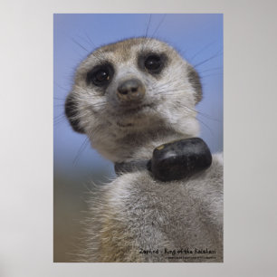 Zaphod - König des Kalahari-Posters Poster