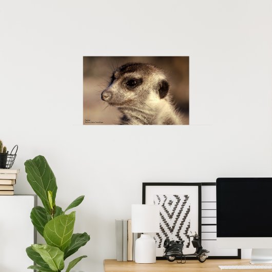 Zaphod Poster - Royal Whiskers Collection (Heimbüro)