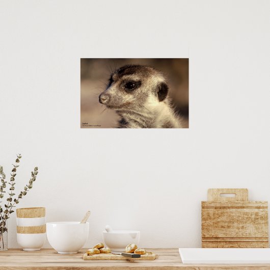 Zaphod Poster - Royal Whiskers Collection (Küche)