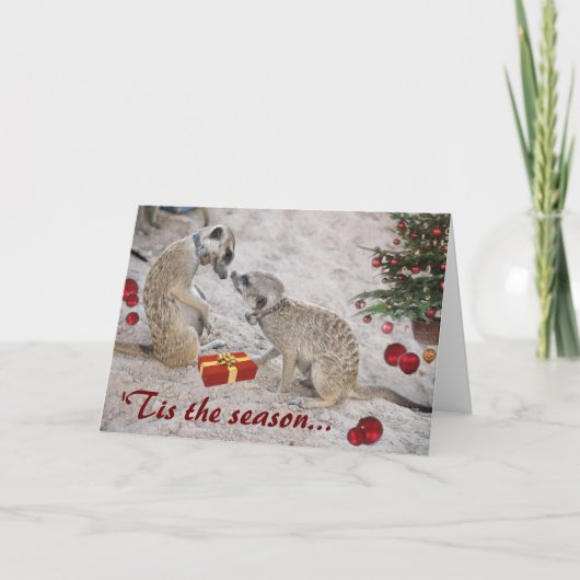 Zaphod und Monkulus die Grüße Jahreszeit - Karte (Vorderseite)