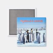 zAR026 - PENGUINS OF ANTARCTICA, Argentinien,Kühls Magnet (Vorderseite/Rückseite)