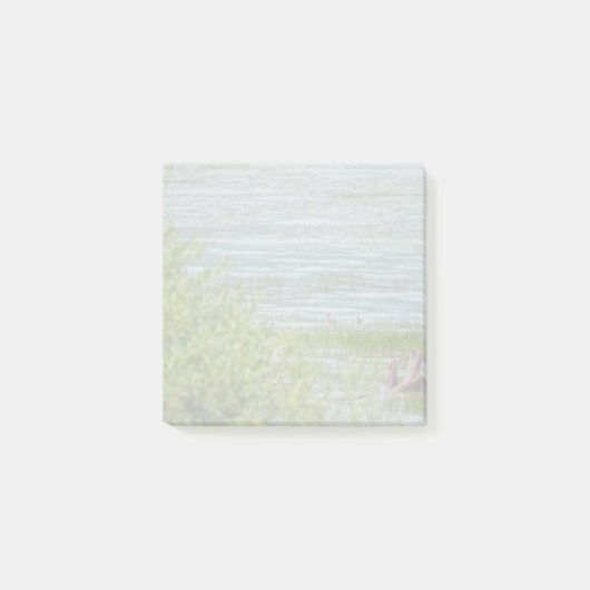 Zarte Bewegung Post-it Klebezettel (Vorderseite)
