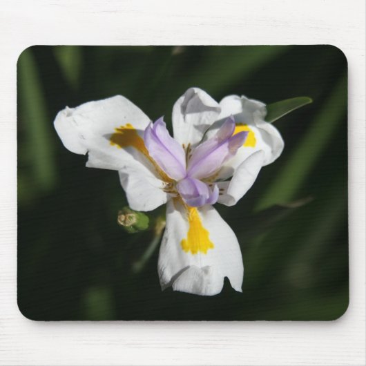 zarte Blume Mousepad (Vorne)
