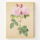 Zarte Frankreich Rose Notizblock (Rückseite)