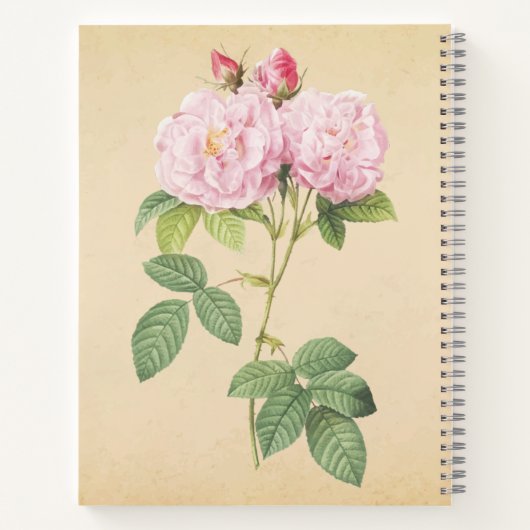 Zarte Frankreich Rose Notizblock (Rückseite)