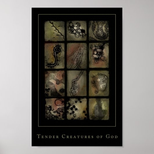 zarte Kreaturen Gottes Poster (Vorne)