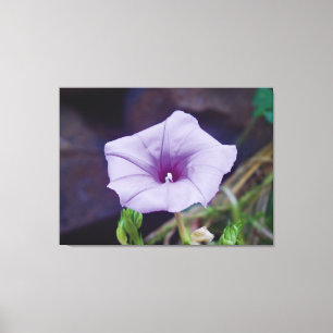 Zarte lila Blüte Nahaufnahme-Fotografie Leinwanddruck