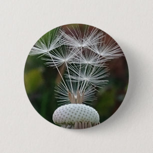 Zarte Löwenzahnsamen  Button
