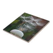 Zarte Löwenzahnsamen  Fliese (Seite)