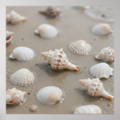 Zarte Muscheln Strand Serenität Poster (Vorne)