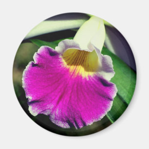 Zarte Orchideenblüten-Fotografie Magnet