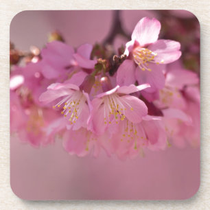 Zarte rosa Sakura-Kirschblüten Bouquet Getränkeuntersetzer