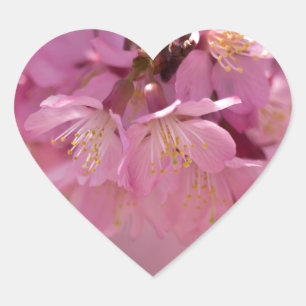 Zarte rosa Sakura-Kirschblüten Bouquet Herz-Aufkleber