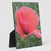 Zarte rote Mohnblume Fotoplatte (Seite)