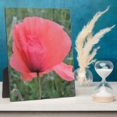 Zarte rote Mohnblume Fotoplatte (Seite)