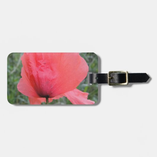 Zarte rote Mohnblume Gepäckanhänger (Vorderseite horizontal)