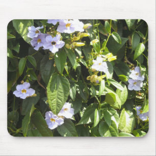 Zarte Trichterwinden Mousepad