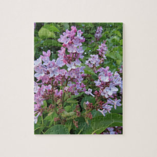 Zarte violette Blüten eines Fliederbuschs Puzzle